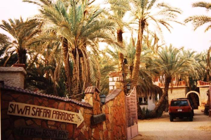 Siwa Paradise Siwa Oasis Exterior foto